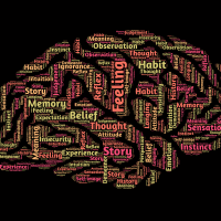 Vocabulary to describe some of what is going on in the mind.